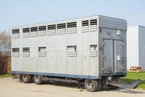 Transporte de animales
