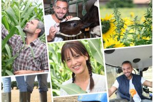 Curso incorporacion empresa agraria